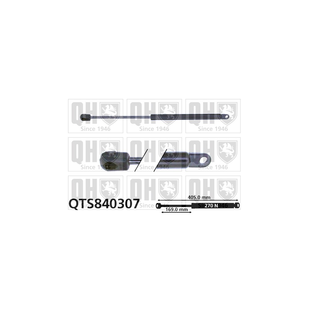 Image for QH QTS840307 Gas Spring