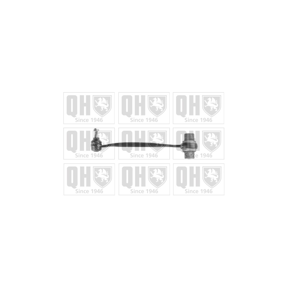 Image for QH QSJ2112S Suspension Arm - Rear Lower LH & RH (Centre)