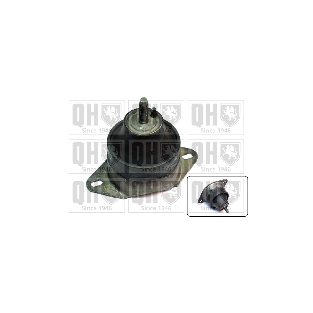 Image for QH EM4324 Engine Mounting