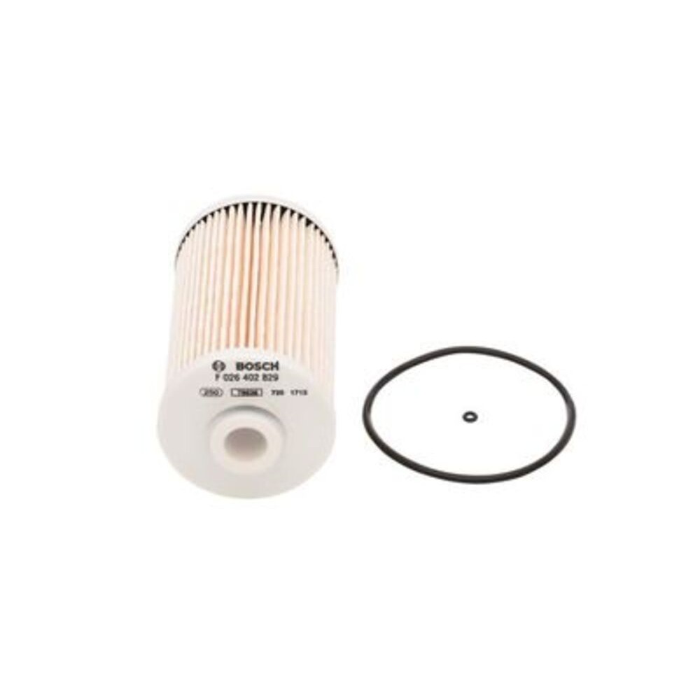 Image for Bosch Fuel-filter element N2829