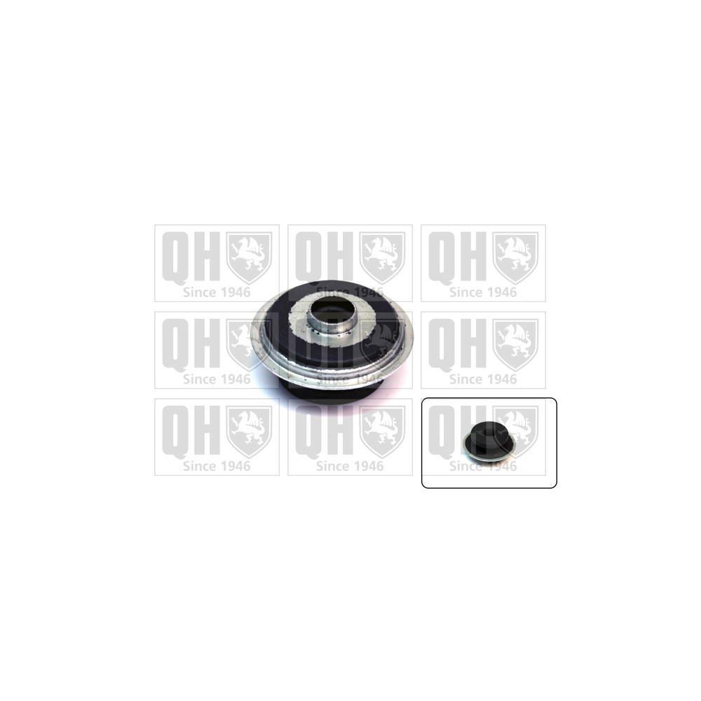 Image for QH EMR6161 Top Strut Mounting- exc Bearing