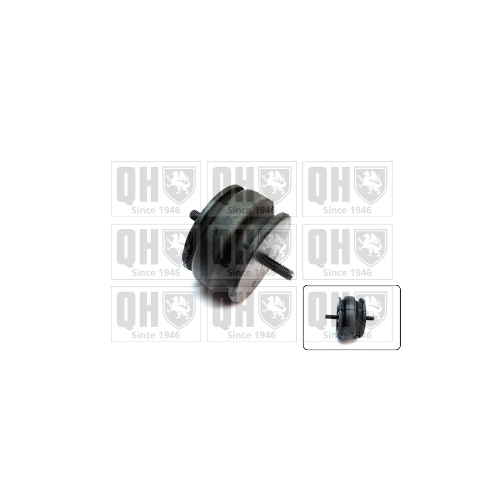 Image for QH EM3172 Engine Mounting