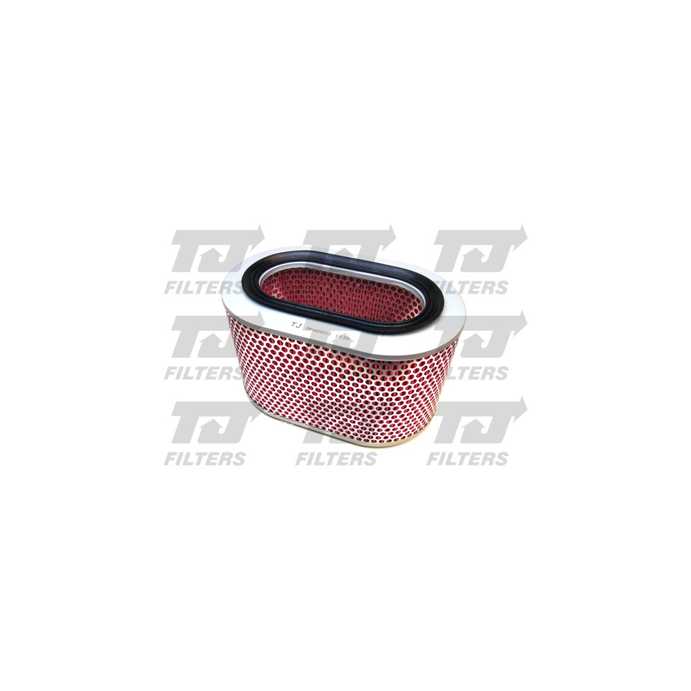 Image for TJ QFA0803 Air Filter