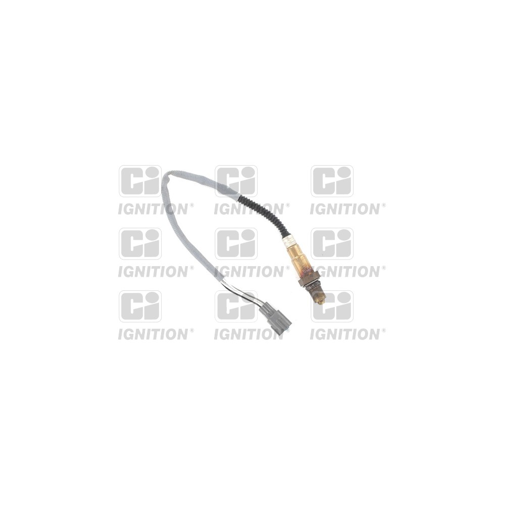 Image for Oxygen Sensor