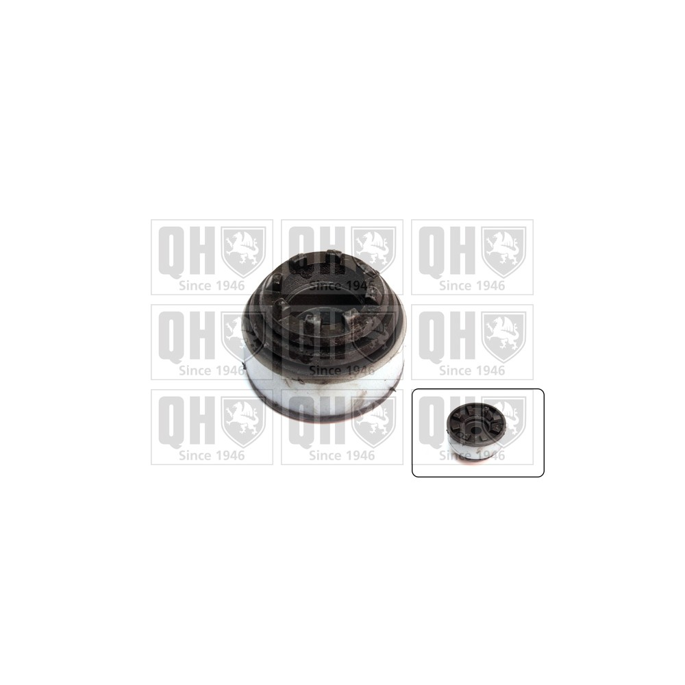 Image for QH EMR2241 Top Strut Mounting - Front exc.Bearing LH & RH