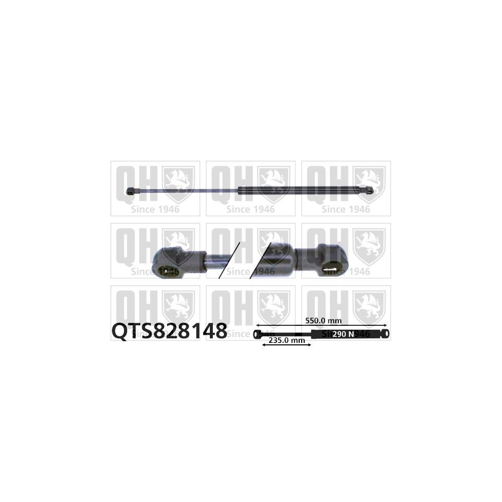 Image for QH QTS828148 Gas Spring