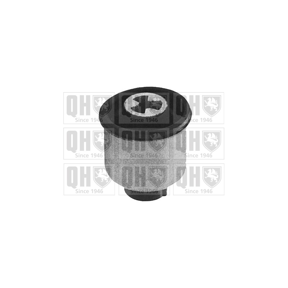 Image for QH EMS4045 Suspension Arm Bush - Rear LH & RH