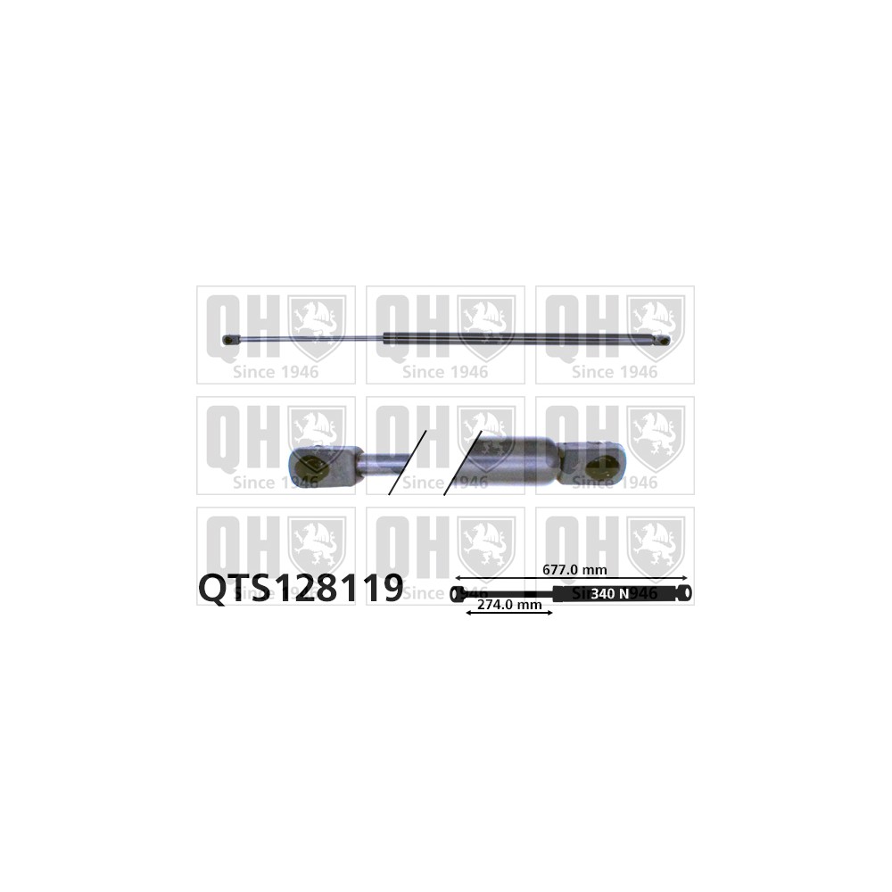 Image for QH QTS128119 Gas Spring