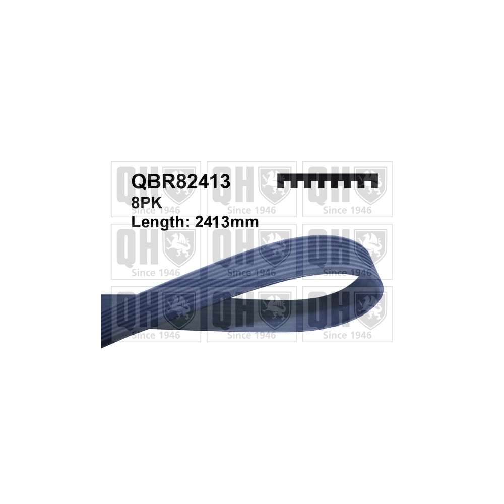 Image for QH QBR82413 Drive Belt