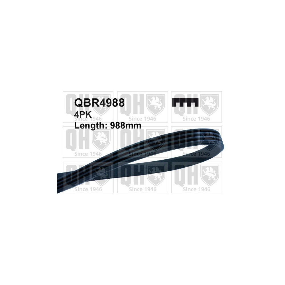 Image for QH QBR4988 Drive Belt