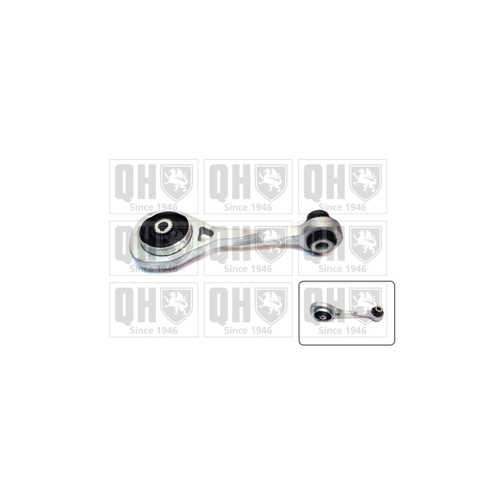 Image for QH EM4313 Engine Mounting