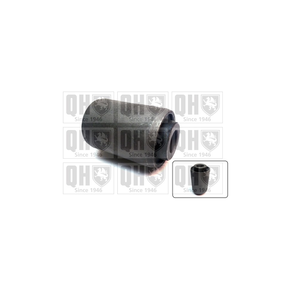 Image for QH EMS8646 Suspension Arm Bush - Rear Lower LH & RH (Inner)