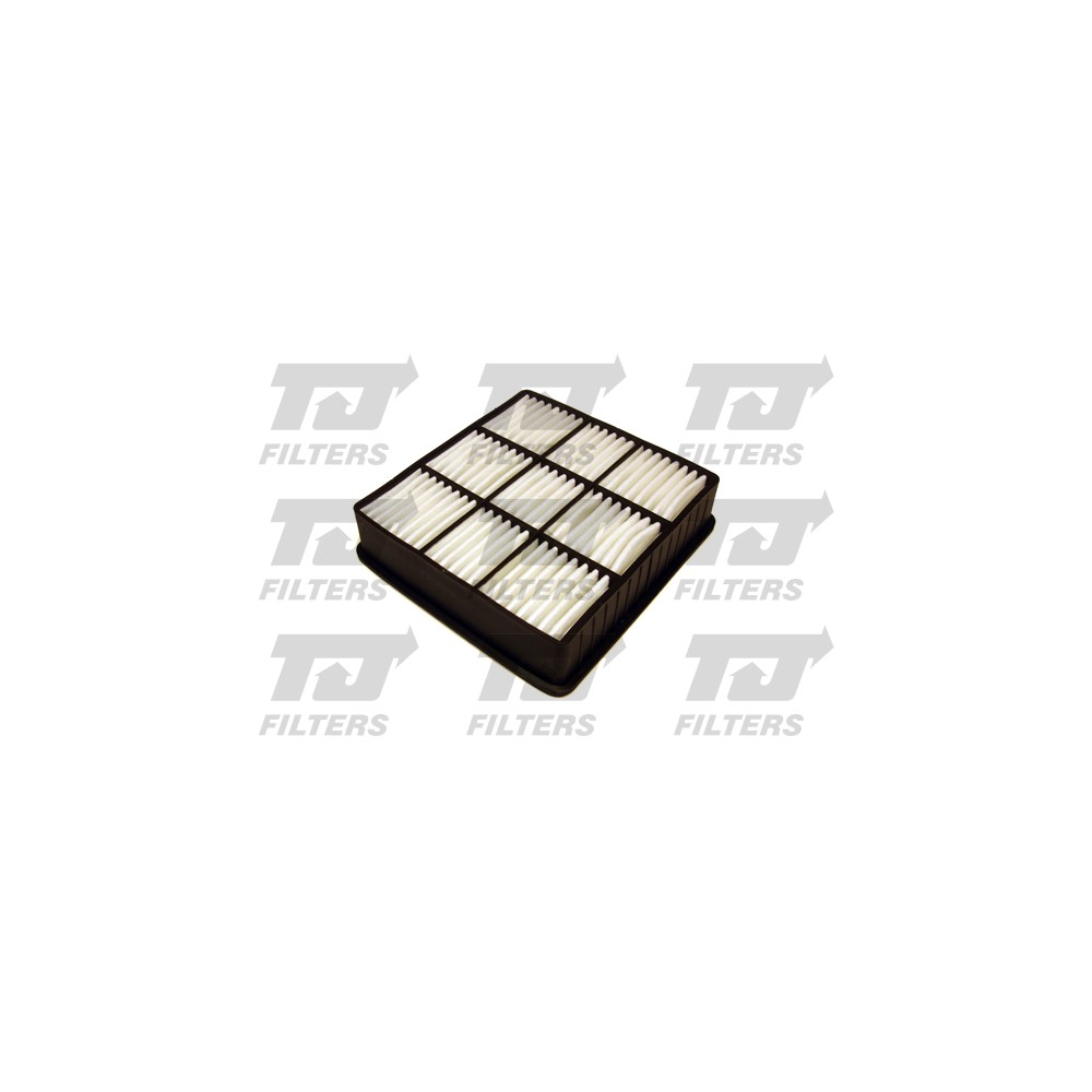 Image for TJ QFA0718 Air Filter