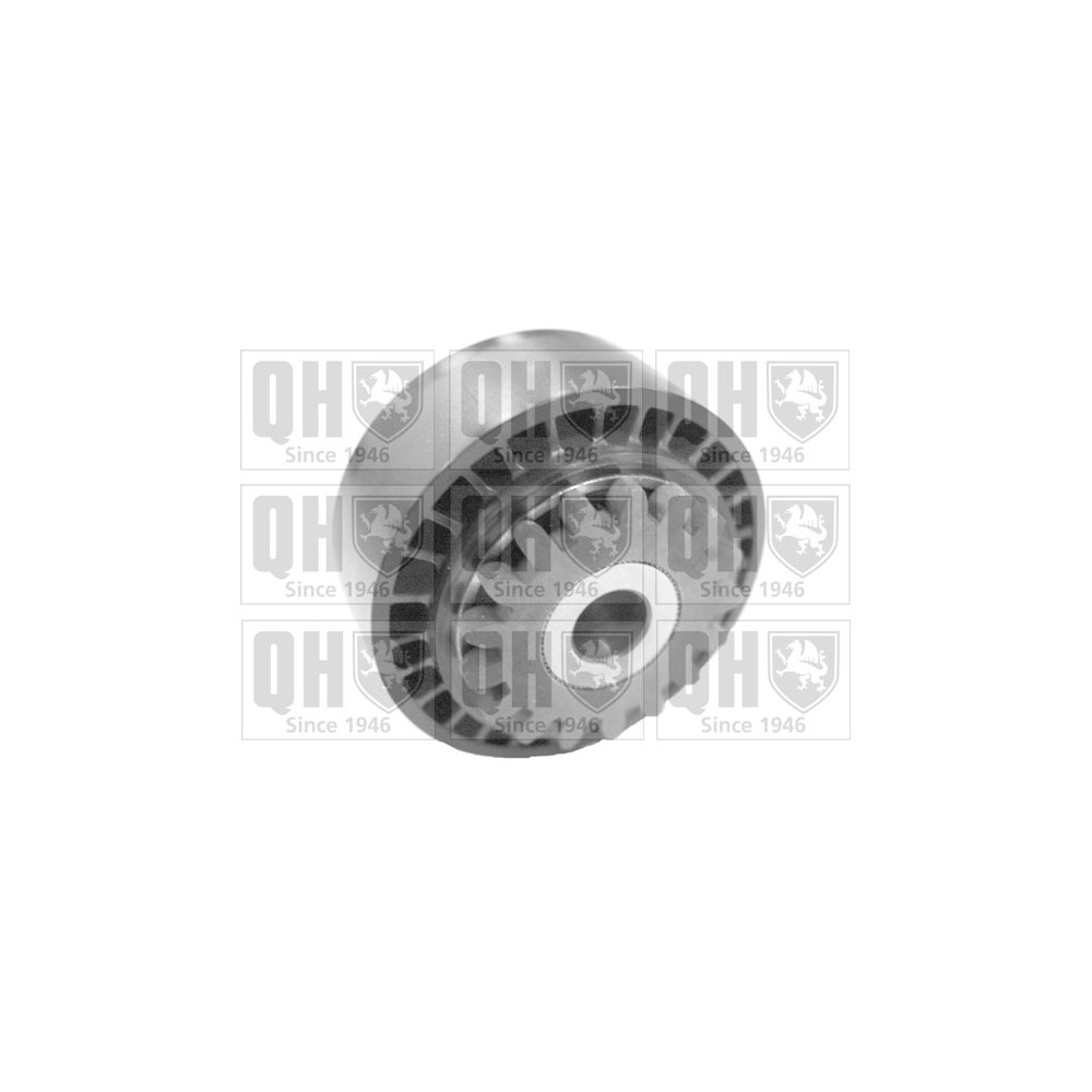 Image for QH QTA1370 DRIVE BELT TENSIONER