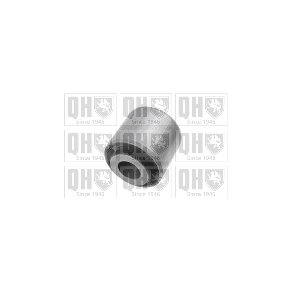 Image for QH EMS8376 Suspension Arm Bush - Rear Lower LH & RH (Front)