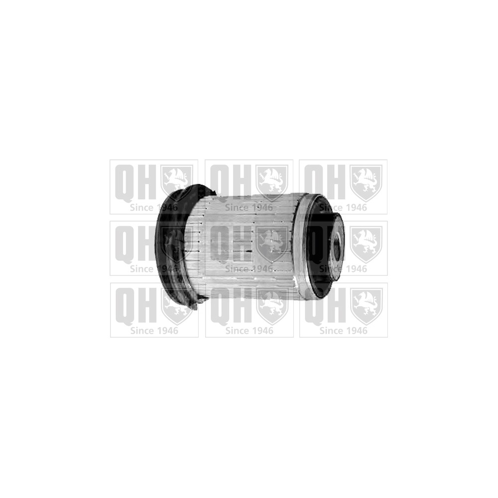 Image for QH EMS8263 Suspension Arm Bush - Front LH & RH (Rear)