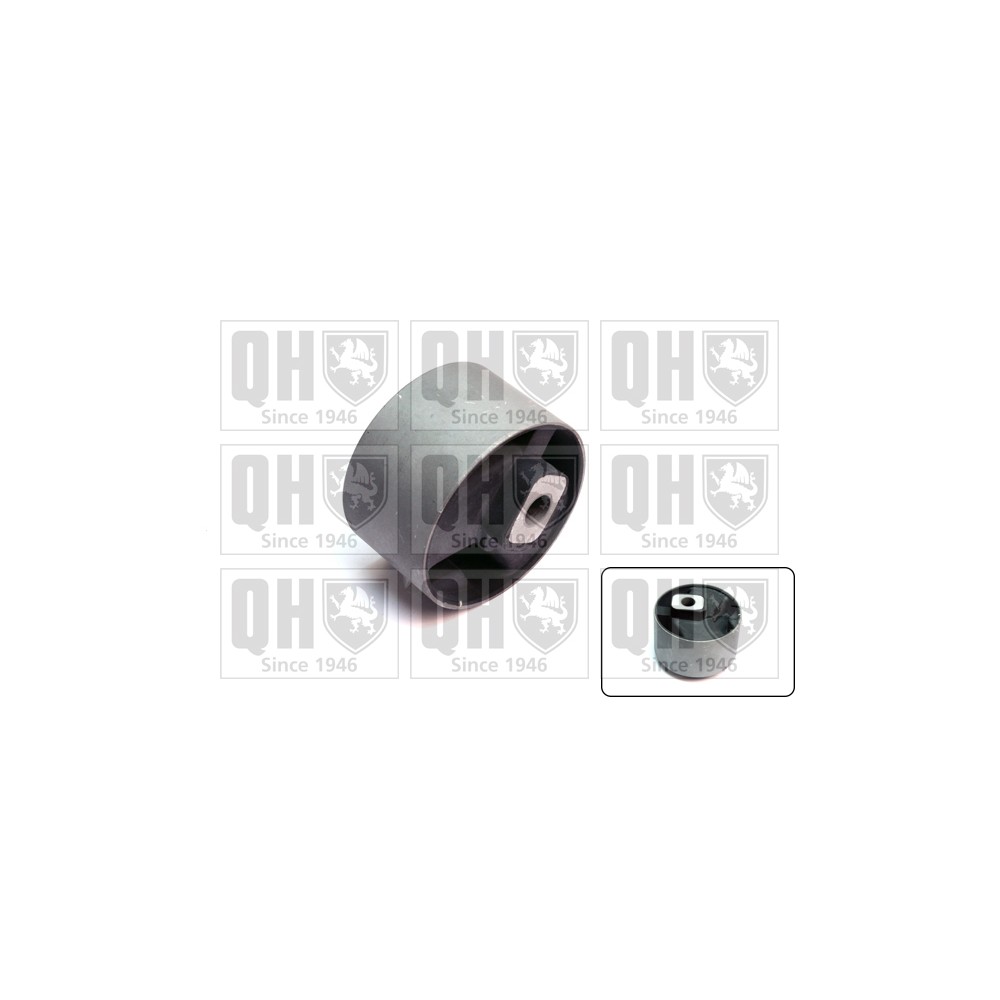 Image for QH EM2145 Engine Mounting