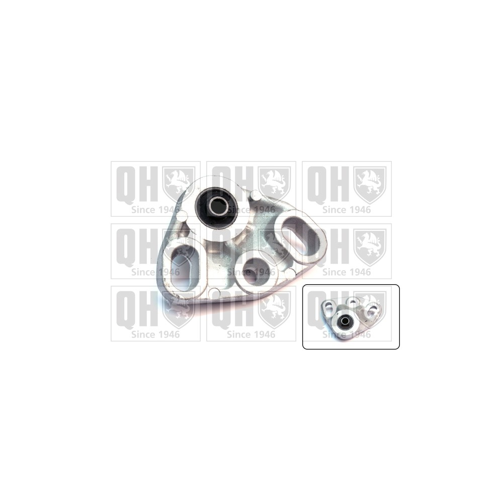 Image for QH EM4276 Engine Mounting