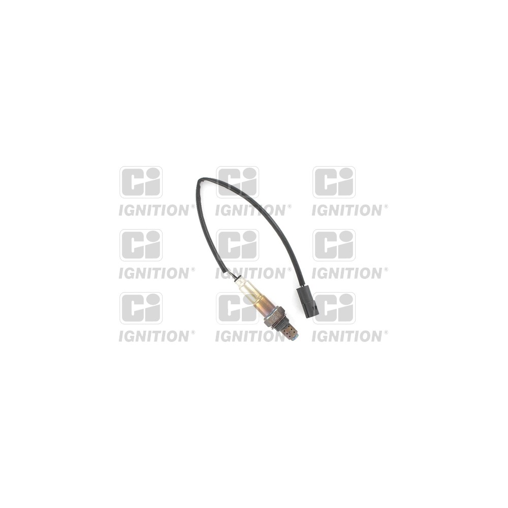 Image for Oxygen Sensor