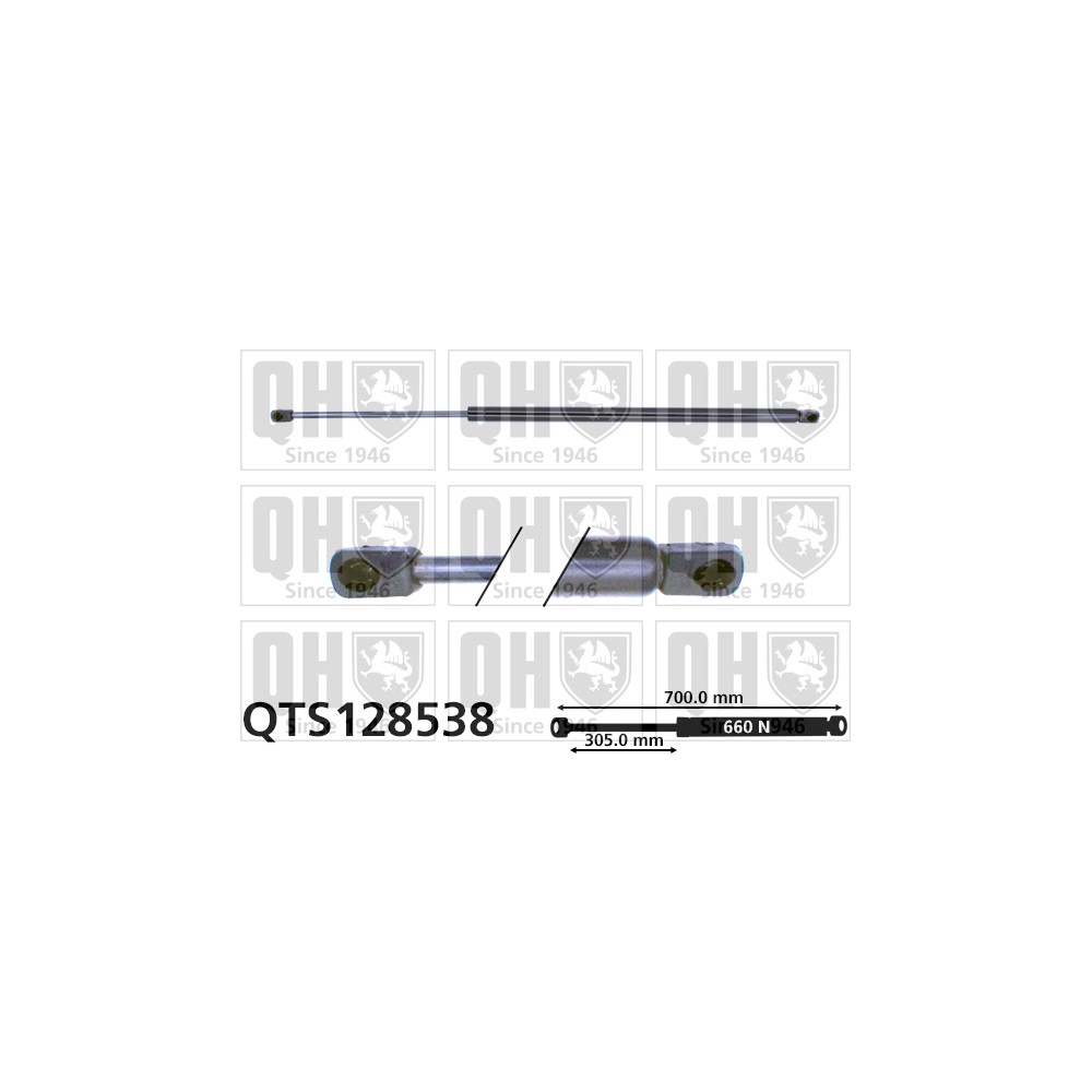 Image for QH QTS128538 Gas Spring