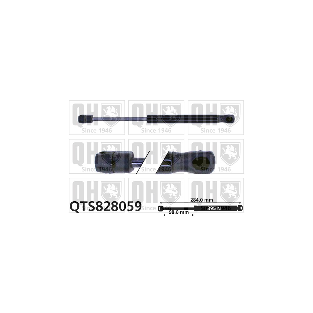 Image for QH QTS828059 Gas Spring