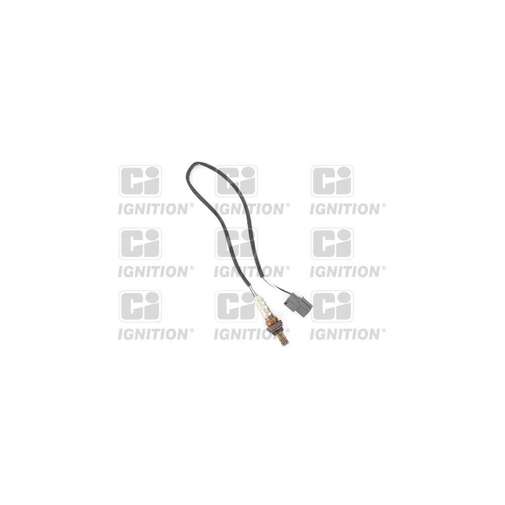 Image for Oxygen Sensor