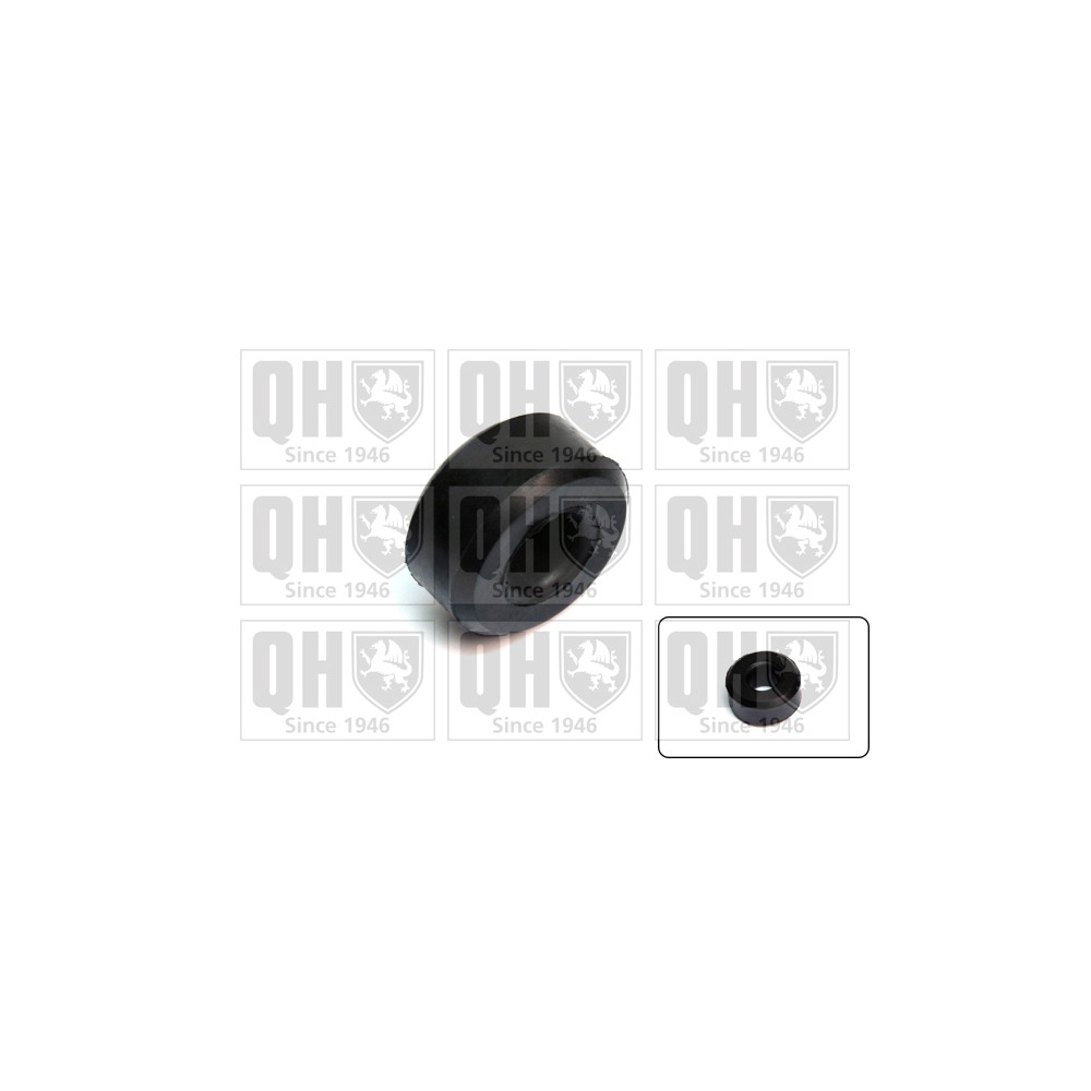 Image for QH EMS2690 Stabiliser Bar Bush - Front LH & RH (Outer)