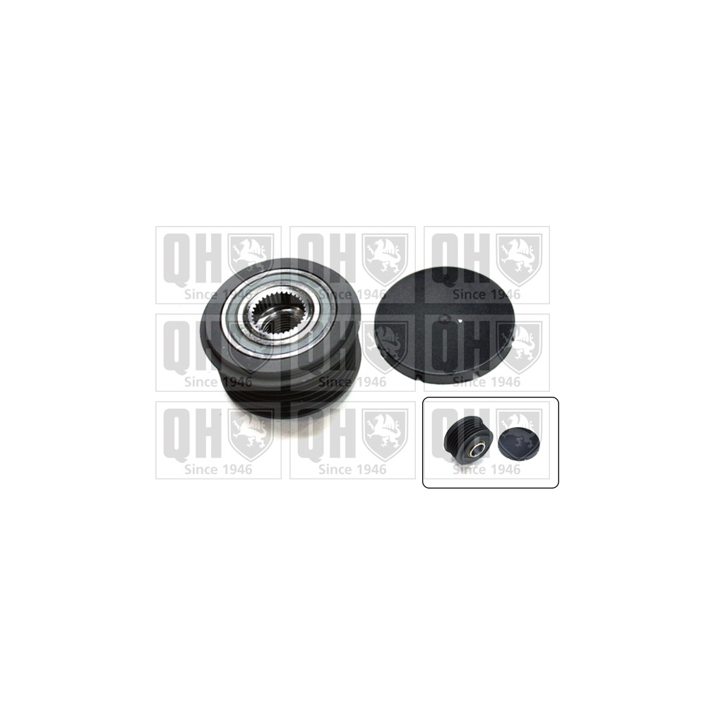 Image for Free Wheel Clutch Pulley