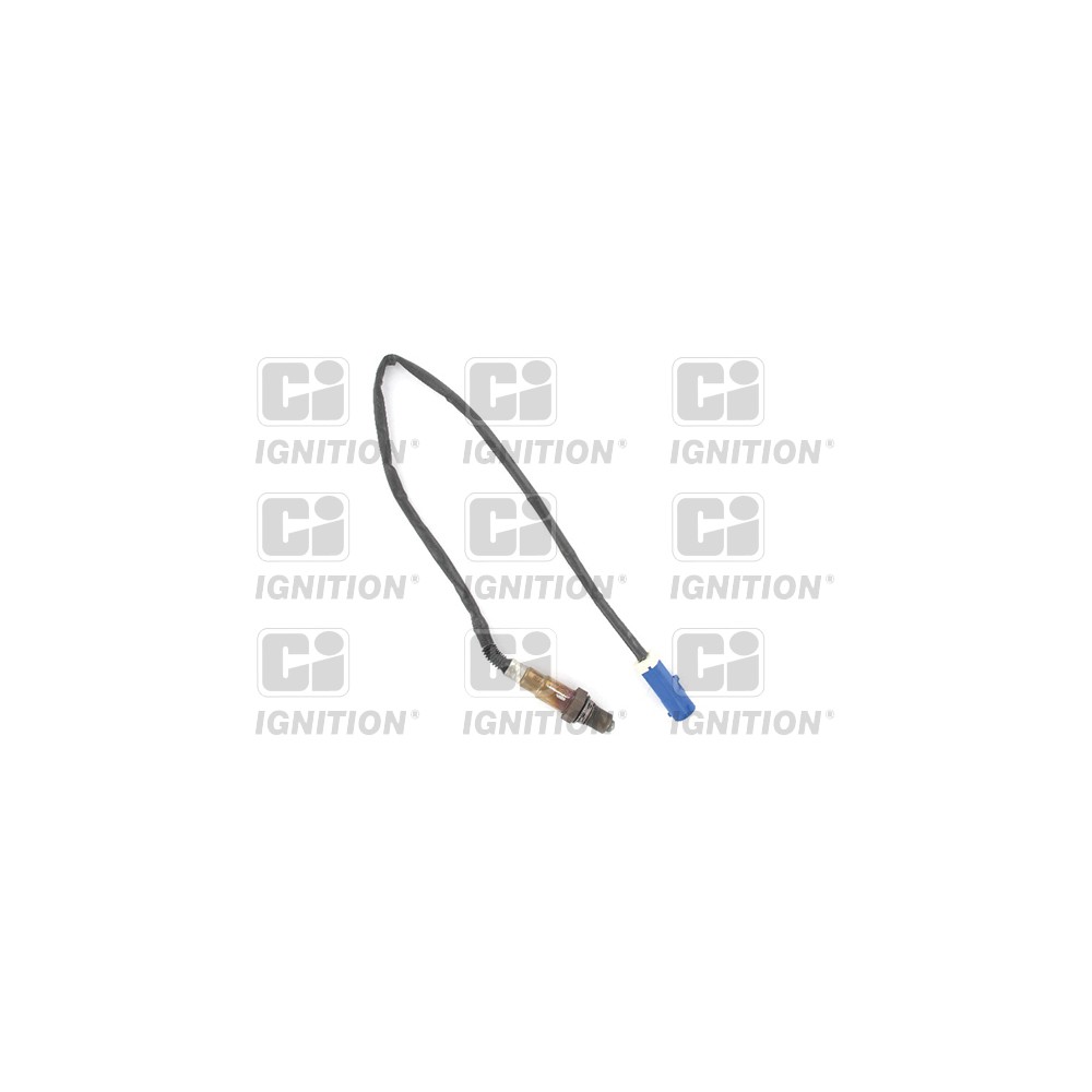 Image for Oxygen Sensor