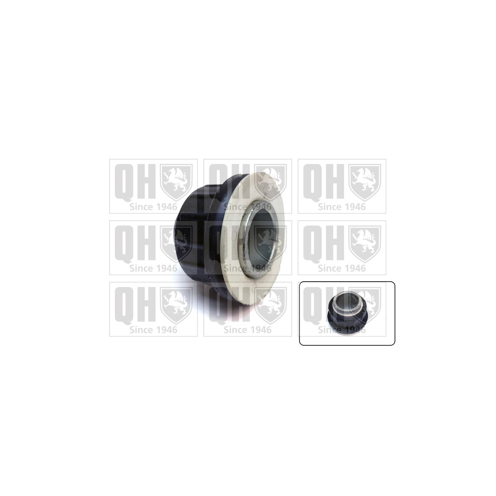 Image for QH EMS8675 Suspension Arm Bush