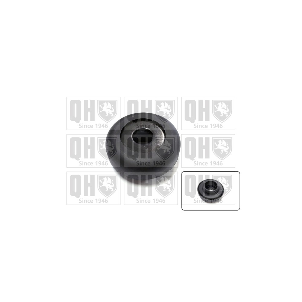 Image for QH QAM166 Top Strut Bearing