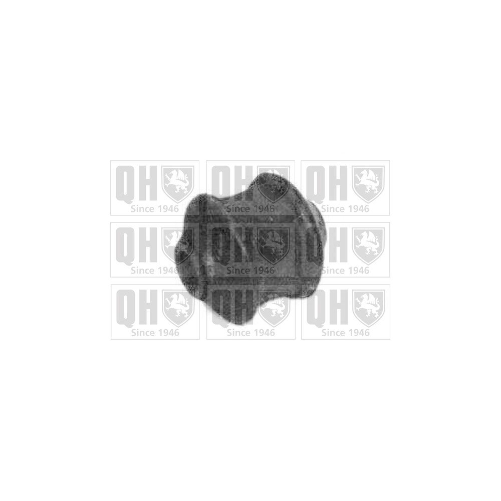 Image for QH EMS2454 Suspension Arm Bush - Front LH & RH (Outer)