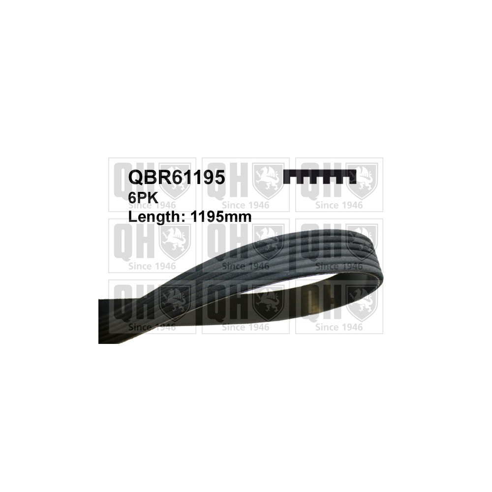 Image for QH QBR61195 Multi-ribbed belt