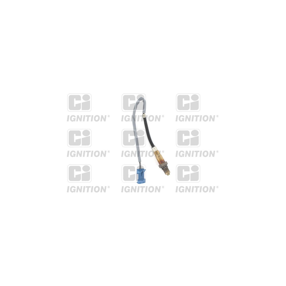 Image for Oxygen Sensor