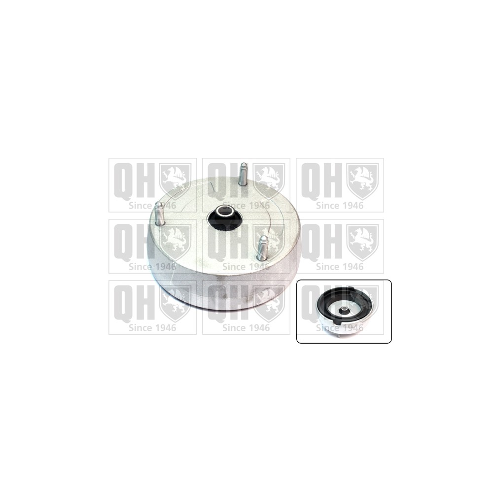 Image for QH EMA6148 Top Strut Mounting inc. Bearing