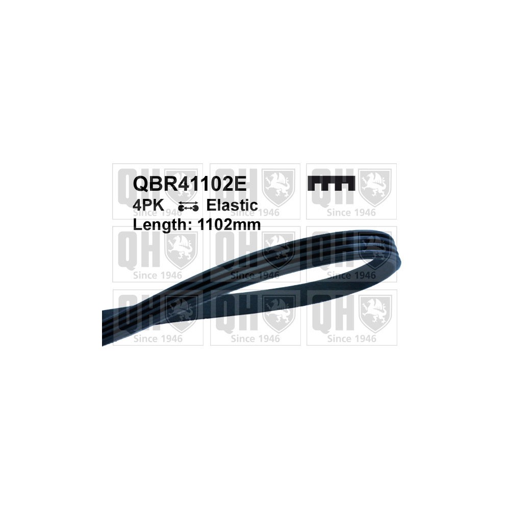 Image for QH QBR41102E Drive Belt