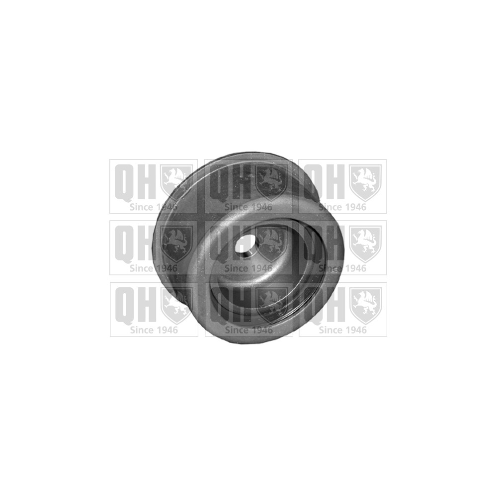 Image for QH QTT979 Timing Belt Tensioner