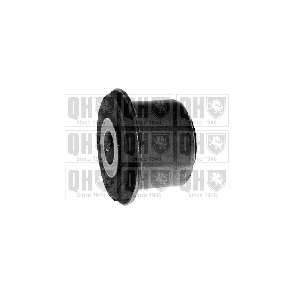 Image for QH EMS1859 Suspension Arm Bush - Front Lower LH & RH (Front)