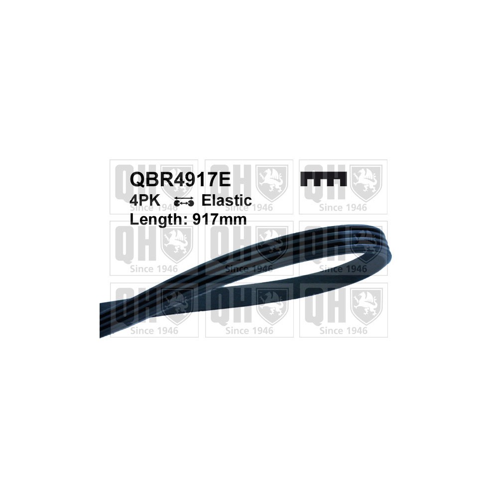 Image for QH QBR4917E Drive Belt