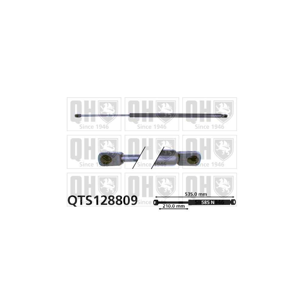 Image for QH QTS128809 Gas Spring