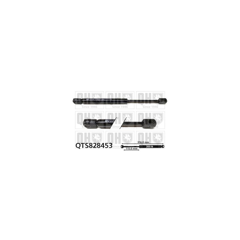 Image for QH QTS828453 Gas Spring