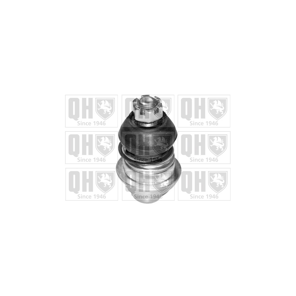 Image for QH QSJ1333S Ball Joint - Front Lower LH & RH