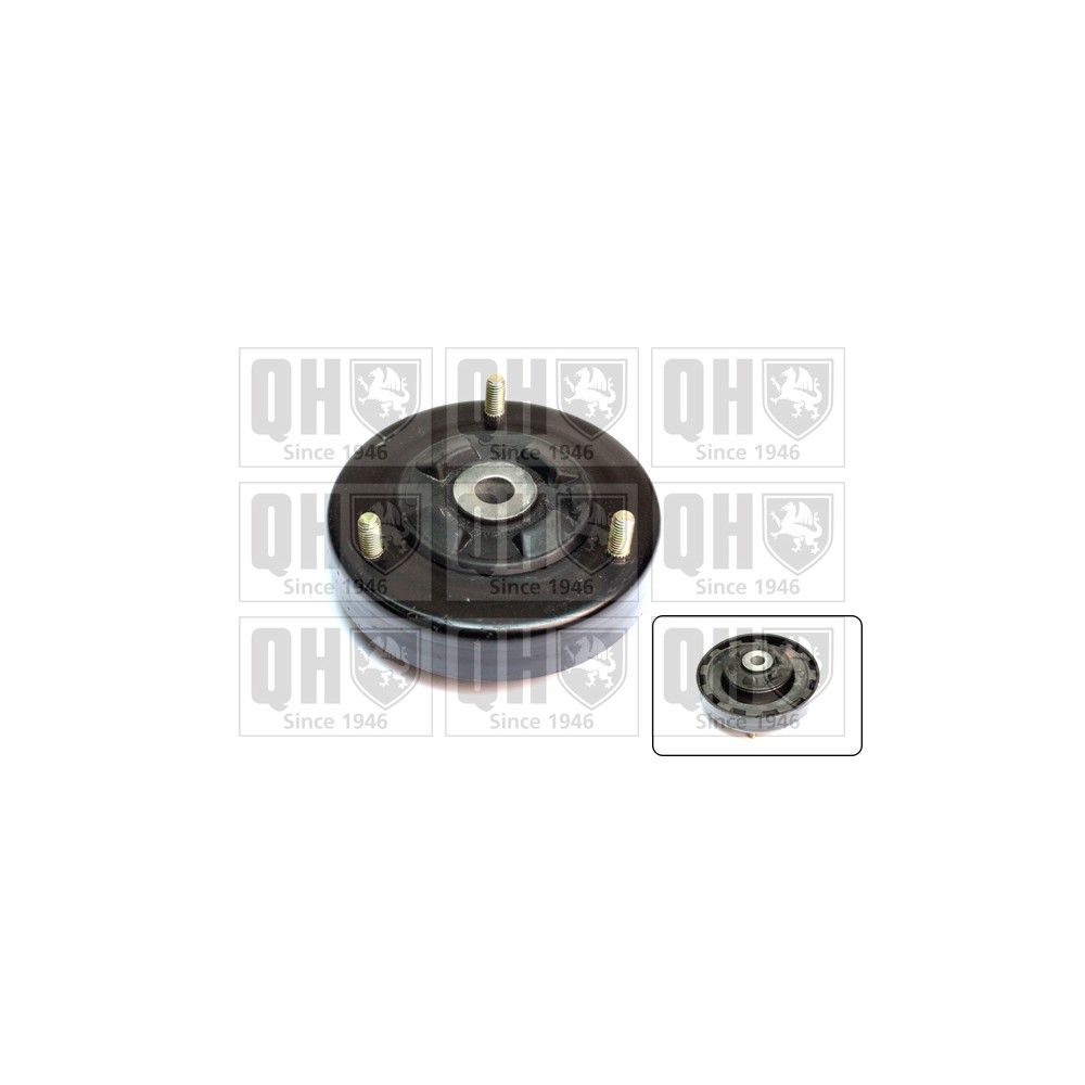 Image for QH EMR6023 Top Strut Mounting - Rear exc.Bearing LH & RH