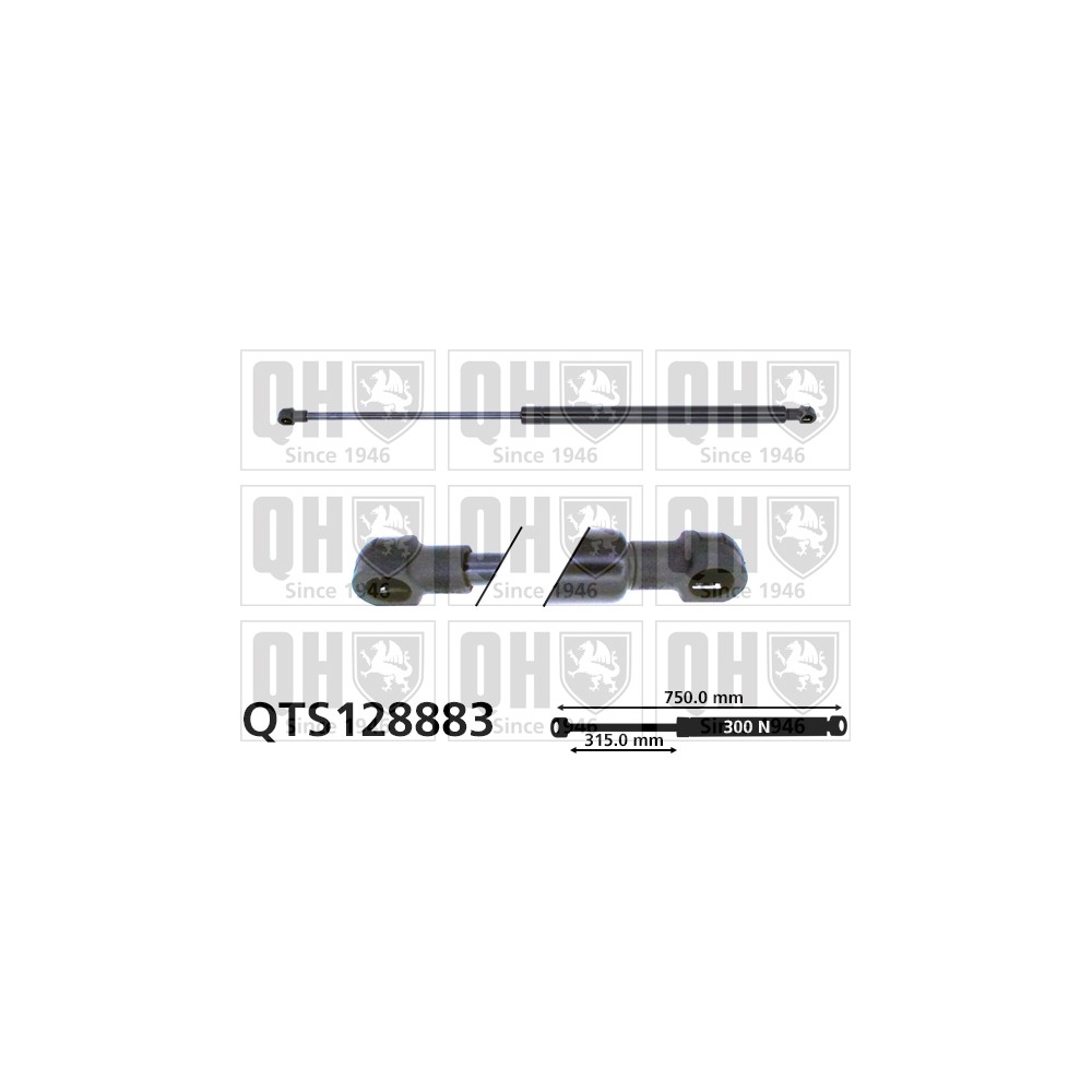 Image for QH QTS128883 Gas Spring