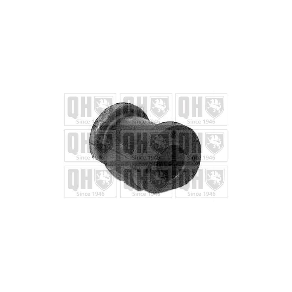 Image for QH EMS2094 Suspension Arm Bush - Front Lower LH & RH (Rear)