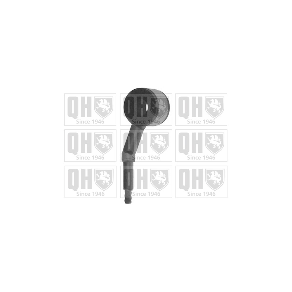 Image for QH QLS1712S Stabiliser Link - Front LH