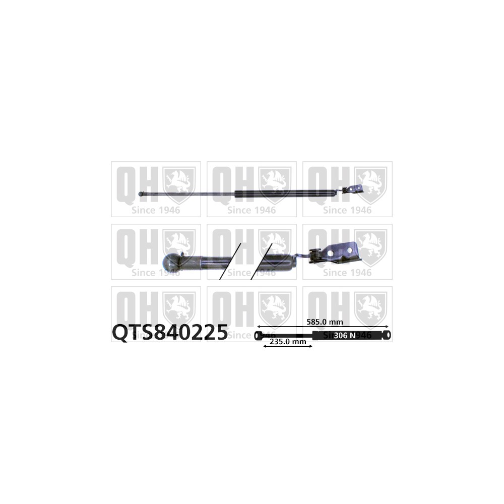 Image for QH QTS840225 Gas Spring