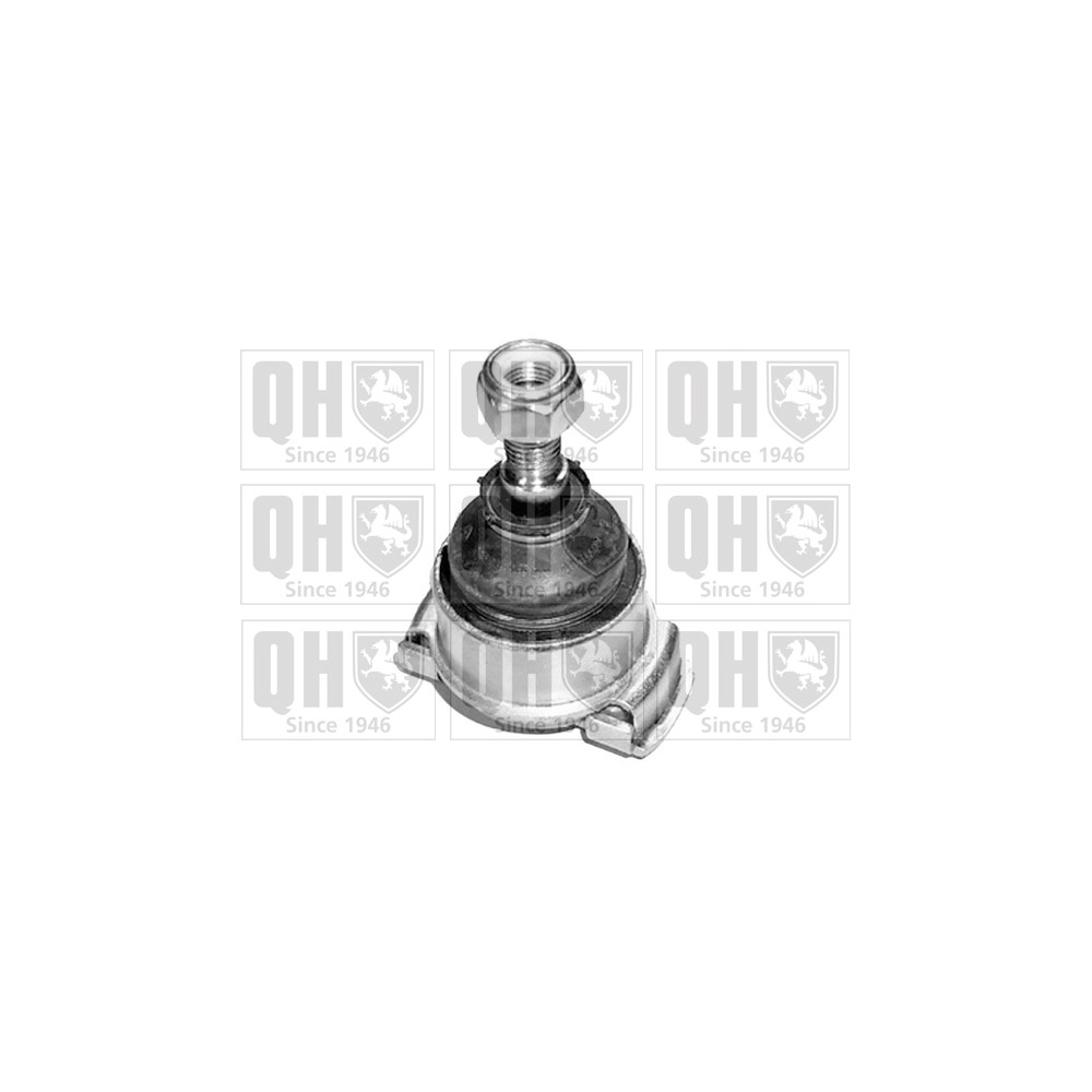 Image for QH QSJ7000S Ball Joint - Front Lower LH & RH (Outer)