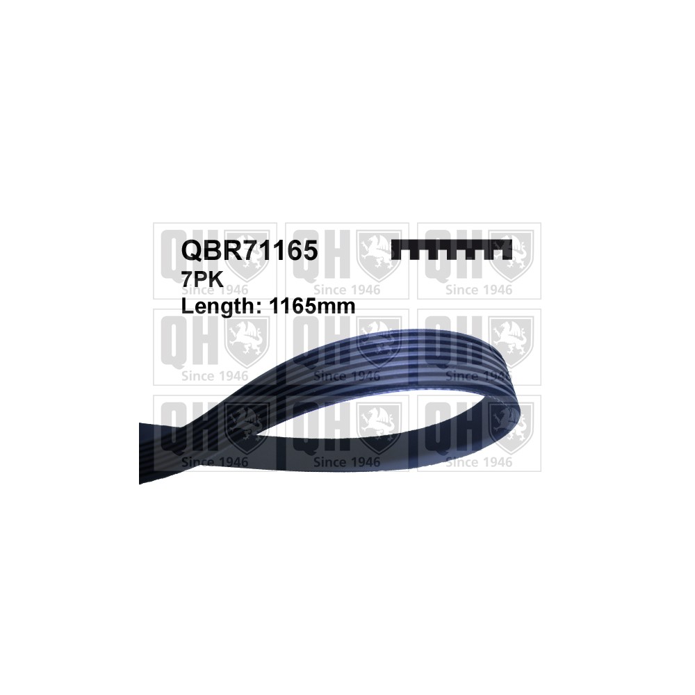 Image for QH QBR71165 Multi-ribbed belt
