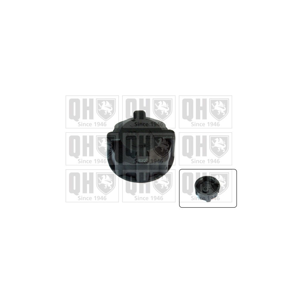 Image for QH FC501 Expansion Tank Cap